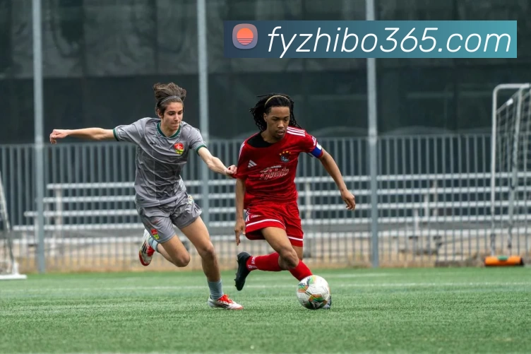 多媒体互动体验